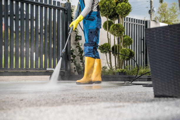 Best Fleet Vehicle Washing  in Montz, LA