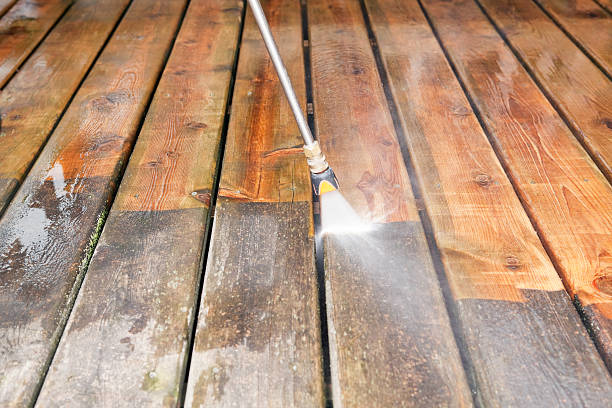 Animal Enclosure Cleaning in Montz, LA